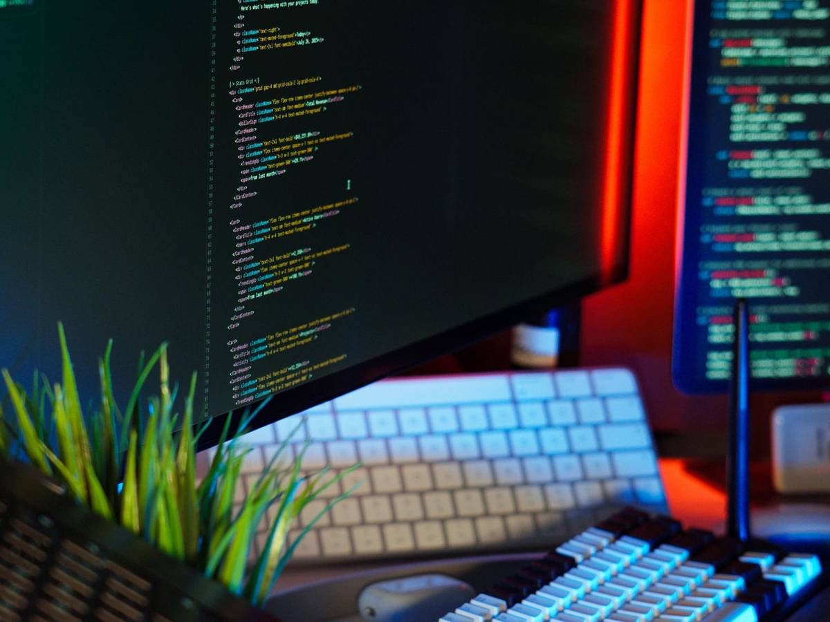 Lines of code on a dark monitor beside a second screen and a keyboard, lit in orange and blue, with a small grass plant in the foreground.