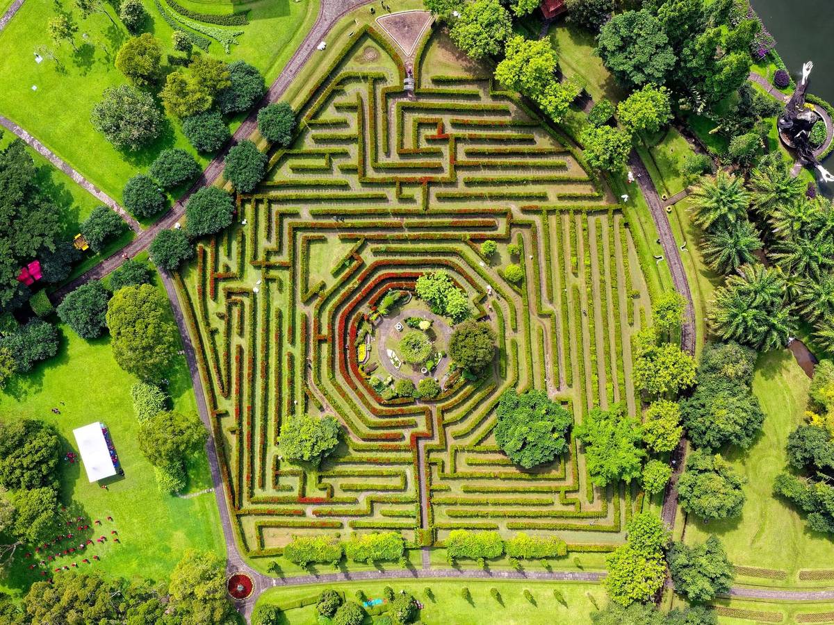 Aerial view looking straight down on a large hedge maze in a park, its hedge corridors winding toward a round garden at the center, surrounded by lawns, trees and footpaths.
