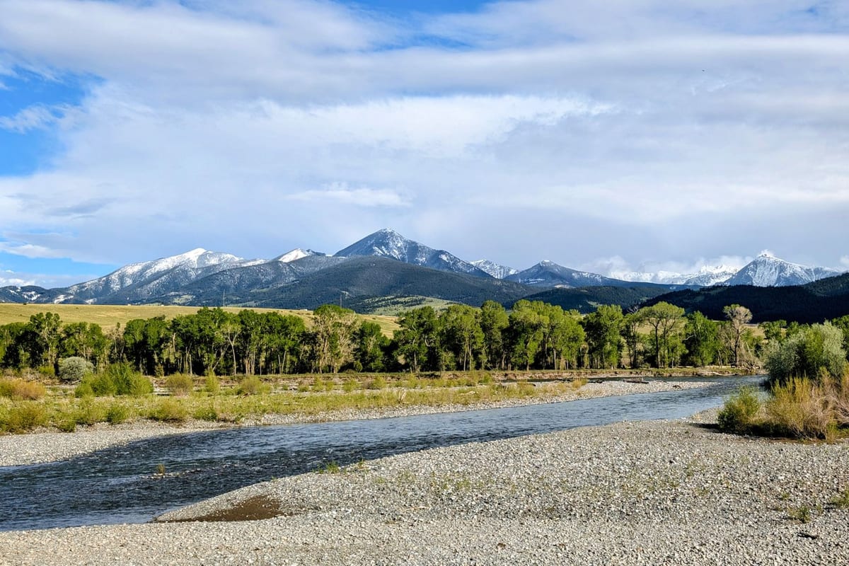 A gravel river bar and cottonwoods below a range of snow-dusted mountains